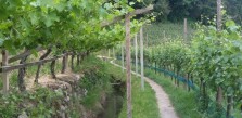 Passeggiate lungo i Waal